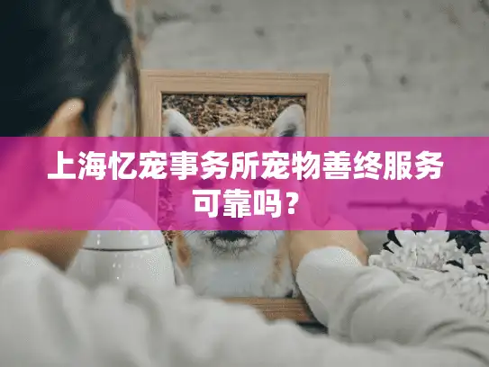 上海忆宠事务所宠物善终服务可靠吗？