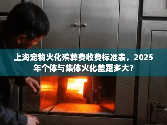 上海宠物火化殡葬费收费标准表，2025年个体与集体火化差距多大？