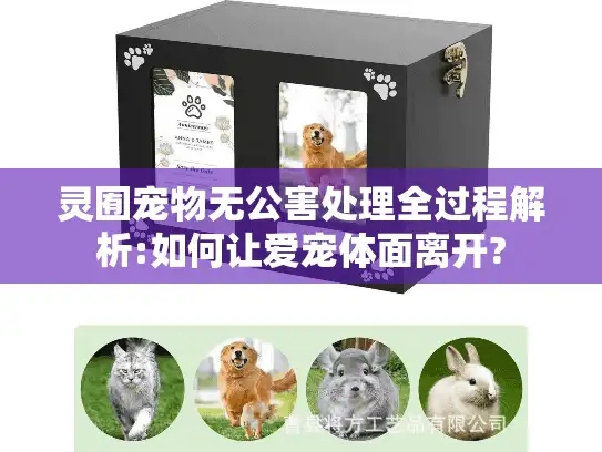 灵囿宠物无公害处理全过程解析:如何让爱宠体面离开?