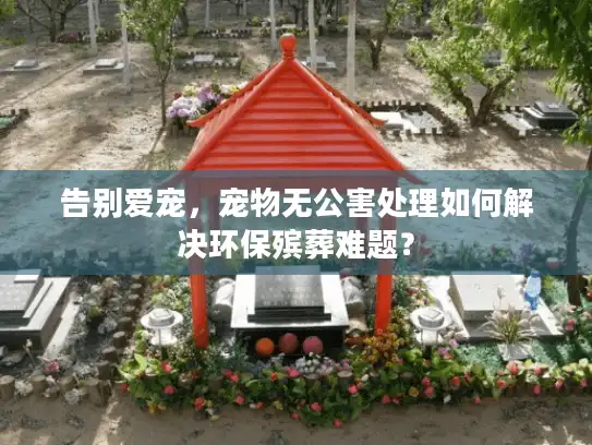 告别爱宠，宠物无公害处理如何解决环保殡葬难题？
