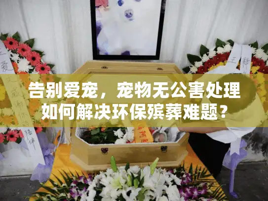 告别爱宠，宠物无公害处理如何解决环保殡葬难题？