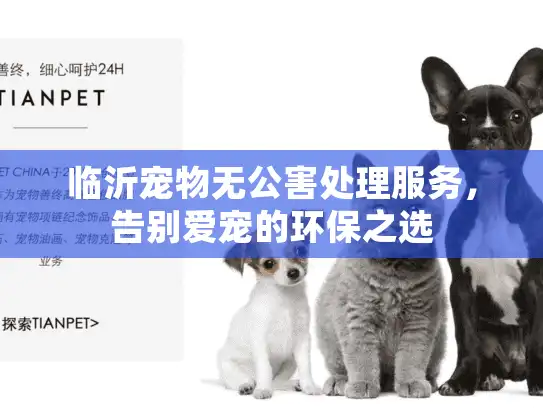 临沂宠物无公害处理服务，告别爱宠的环保之选