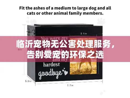 临沂宠物无公害处理服务，告别爱宠的环保之选