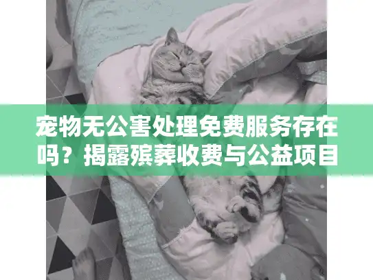 宠物无公害处理免费服务存在吗？揭露殡葬收费与公益项目的真相
