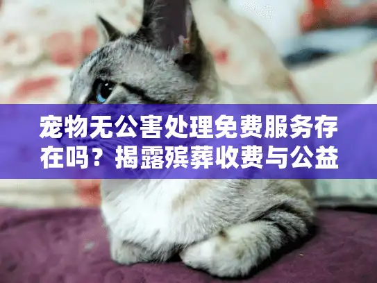 宠物无公害处理免费服务存在吗？揭露殡葬收费与公益项目的真相