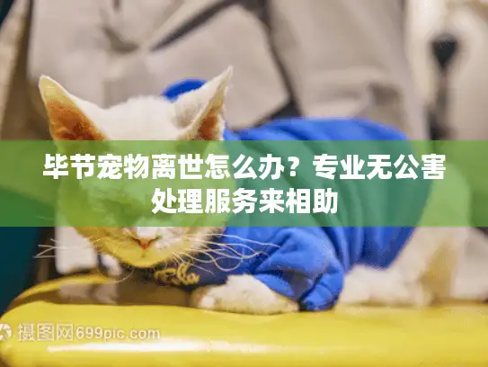 毕节宠物离世怎么办？专业无公害处理服务来相助