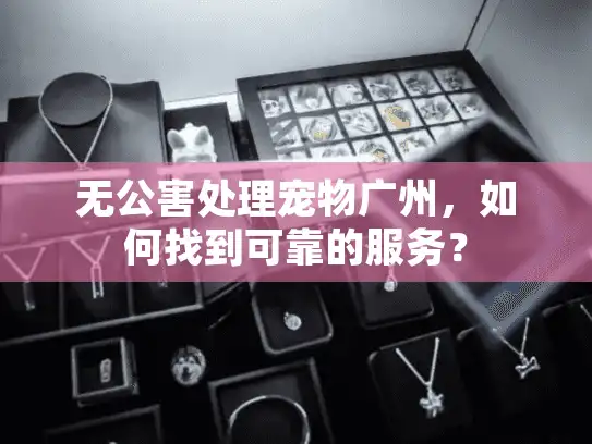 无公害处理宠物广州，如何找到可靠的服务？