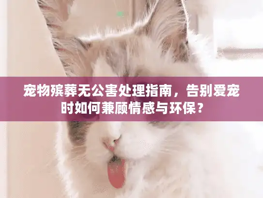 宠物殡葬无公害处理指南，告别爱宠时如何兼顾情感与环保？