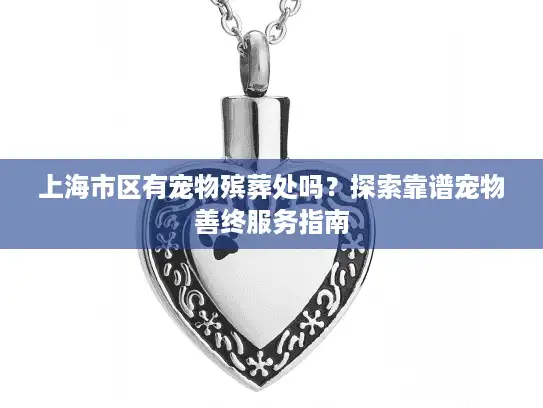 上海市区有宠物殡葬处吗？探索靠谱宠物善终服务指南