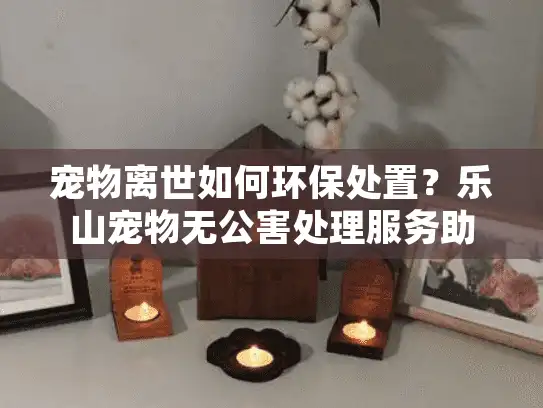 宠物离世如何环保处置？乐山宠物无公害处理服务助您安心告别