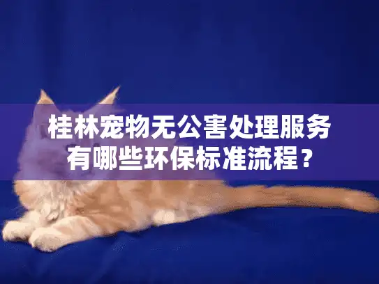桂林宠物无公害处理服务有哪些环保标准流程？