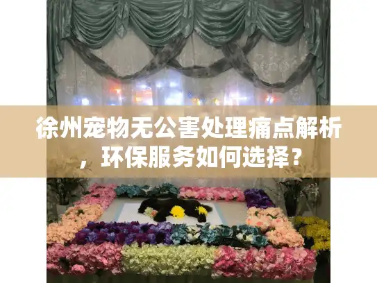 徐州宠物无公害处理痛点解析，环保服务如何选择？