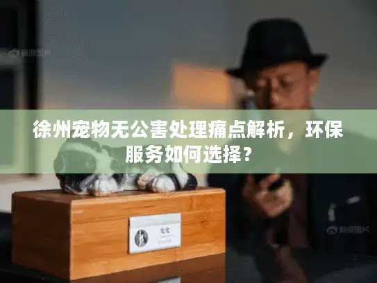 徐州宠物无公害处理痛点解析，环保服务如何选择？