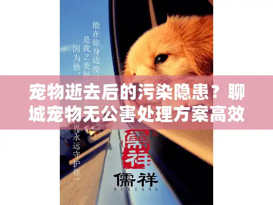 宠物逝去后的污染隐患？聊城宠物无公害处理方案高效解决