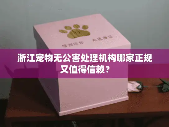 浙江宠物无公害处理机构哪家正规又值得信赖？