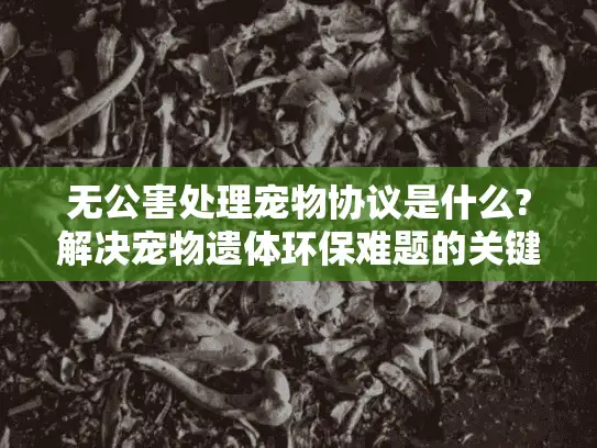无公害处理宠物协议是什么?解决宠物遗体环保难题的关键