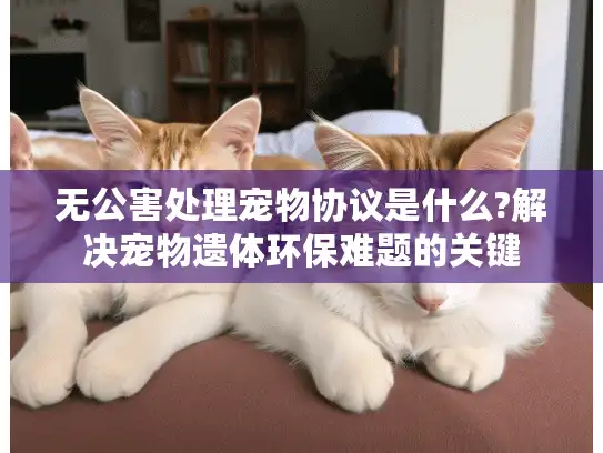 无公害处理宠物协议是什么?解决宠物遗体环保难题的关键