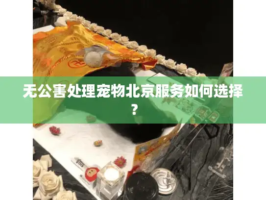 无公害处理宠物北京服务如何选择？