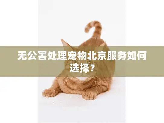 无公害处理宠物北京服务如何选择？