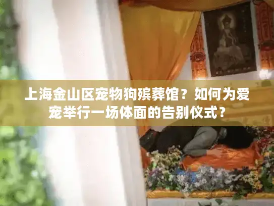 上海金山区宠物狗殡葬馆？如何为爱宠举行一场体面的告别仪式？
