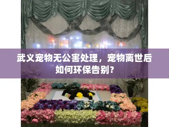 武义宠物无公害处理，宠物离世后如何环保告别？