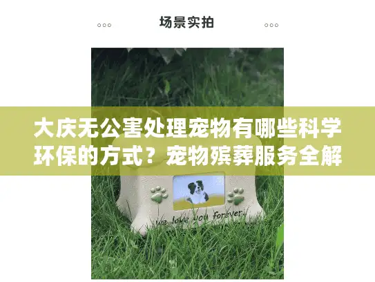 大庆无公害处理宠物有哪些科学环保的方式？宠物殡葬服务全解析