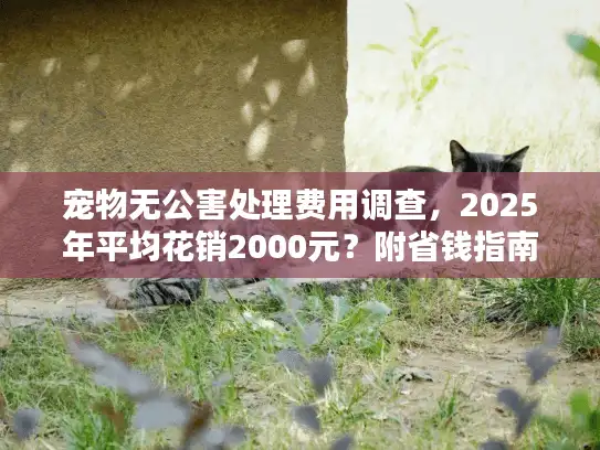 宠物无公害处理费用调查，2025年平均花销2000元？附省钱指南