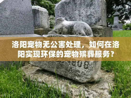 洛阳宠物无公害处理，如何在洛阳实现环保的宠物殡葬服务？