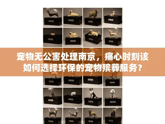 宠物无公害处理南京，痛心时刻该如何选择环保的宠物殡葬服务？