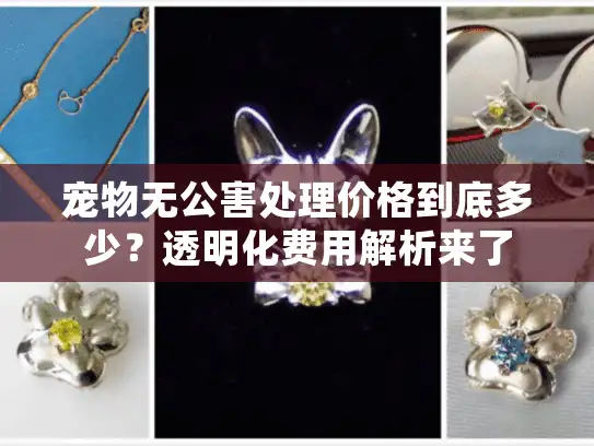 宠物无公害处理价格到底多少？透明化费用解析来了