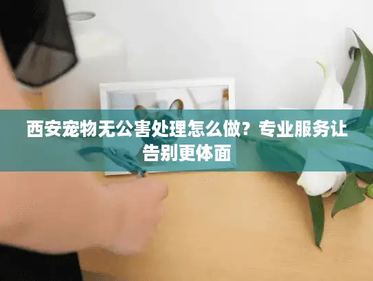 西安宠物无公害处理怎么做？专业服务让告别更体面