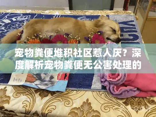 宠物粪便堆积社区惹人厌？深度解析宠物粪便无公害处理的绿色策略