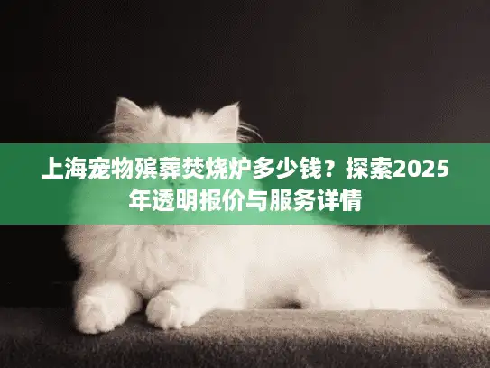 上海宠物殡葬焚烧炉多少钱？探索2025年透明报价与服务详情
