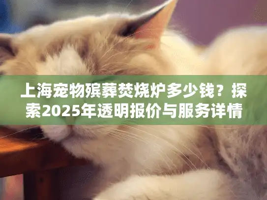上海宠物殡葬焚烧炉多少钱？探索2025年透明报价与服务详情