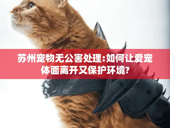 苏州宠物无公害处理:如何让爱宠体面离开又保护环境?