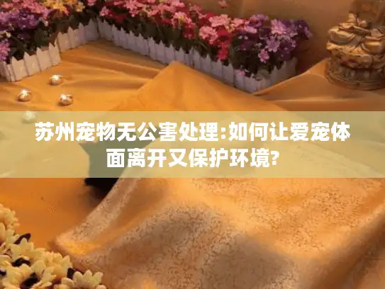 苏州宠物无公害处理:如何让爱宠体面离开又保护环境?