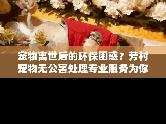 宠物离世后的环保困惑？芳村宠物无公害处理专业服务为你解忧