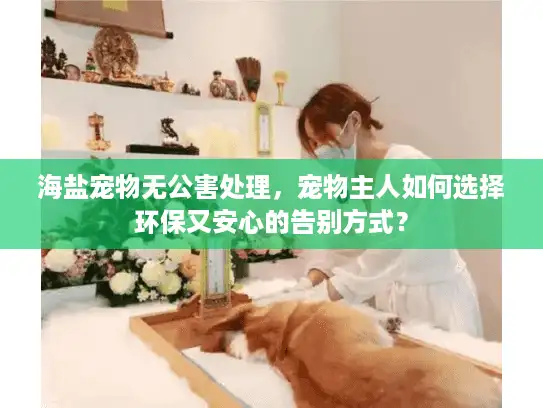 海盐宠物无公害处理，宠物主人如何选择环保又安心的告别方式？