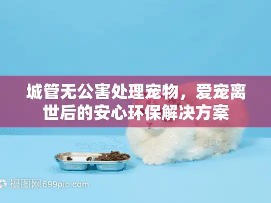 城管无公害处理宠物，爱宠离世后的安心环保解决方案