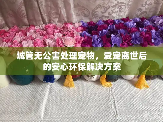 城管无公害处理宠物，爱宠离世后的安心环保解决方案