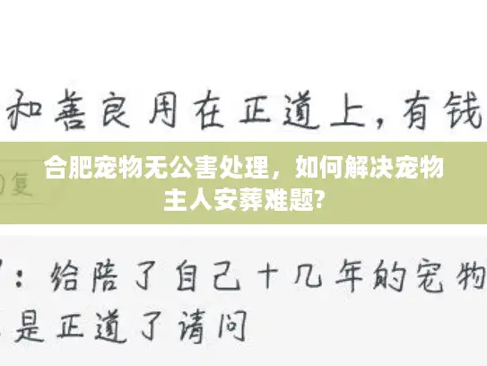 合肥宠物无公害处理，如何解决宠物主人安葬难题?