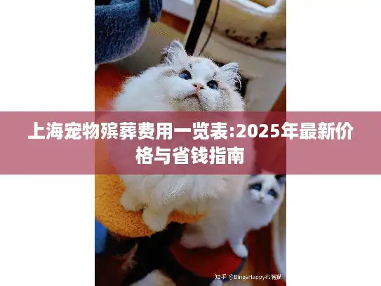 上海宠物殡葬费用一览表:2025年最新价格与省钱指南