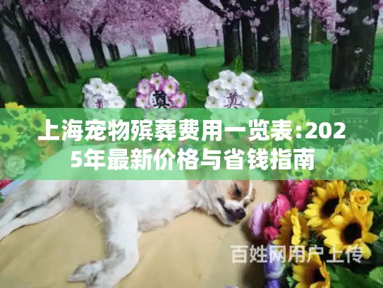 上海宠物殡葬费用一览表:2025年最新价格与省钱指南