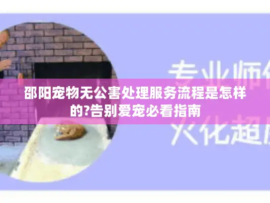 邵阳宠物无公害处理服务流程是怎样的?告别爱宠必看指南
