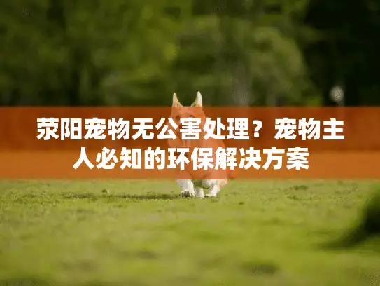 荥阳宠物无公害处理？宠物主人必知的环保解决方案