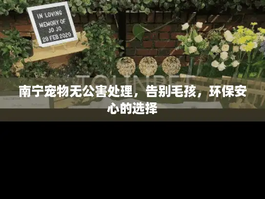 南宁宠物无公害处理，告别毛孩，环保安心的选择
