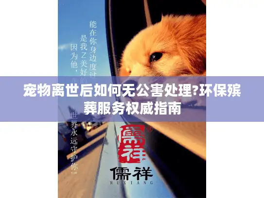 宠物离世后如何无公害处理?环保殡葬服务权威指南