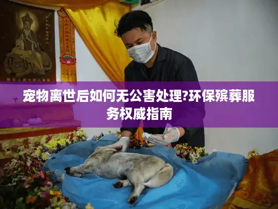 宠物离世后如何无公害处理?环保殡葬服务权威指南