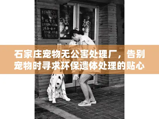 石家庄宠物无公害处理厂，告别宠物时寻求环保遗体处理的贴心方案