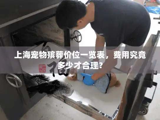 上海宠物殡葬价位一览表，费用究竟多少才合理？